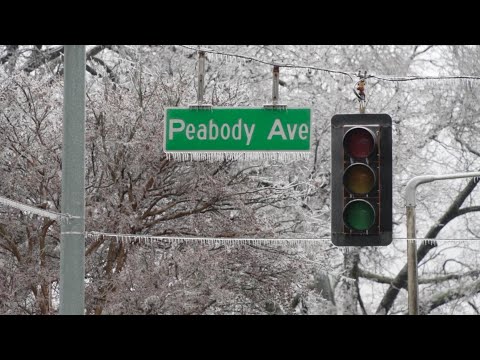 02-03-2022 Memphis, TN - 11 Minutes of Icing - Travel Issues - Trees Down - Everything Iced