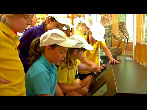 ForestLearning Teaching + Trees