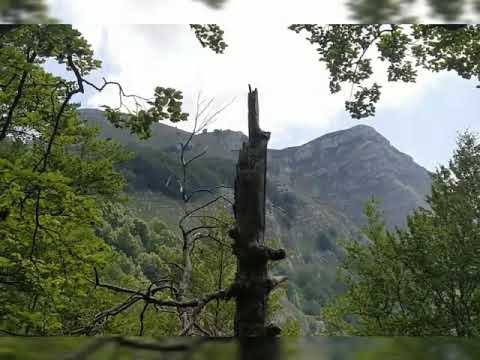 ANELLO DEL MONTE TARINO DA FIUMATA: 4 LUGLIO 2019