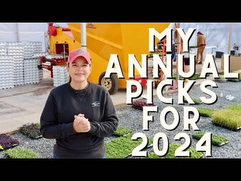 2024 Annual Plant List: Exciting Varieties for Your Garden