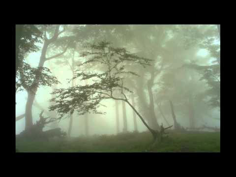 Giovanni Valentini - Sonata à 5. Forgotten early baroque music