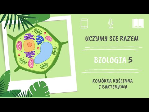 Biologia klasa 5. Komórka roślinna i bakteryjna. Uczymy się razem