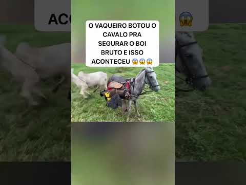 veja ai #viral #gado #haras #vaca #shorts #montaria #fazenda #agro #montaria #cavalgada #cavalo