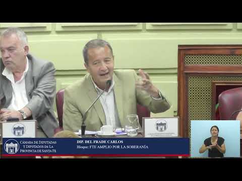 INTERVENCION DIPUTADO DEL FRADE CARLOS -SESIÓN ORDINARIA Nº02 -PERIODO EXTRAORDINARIO 143º -18/12/25
