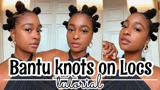 Bantu knots on Locs Tutorial (sisterlocks/ microlocks)