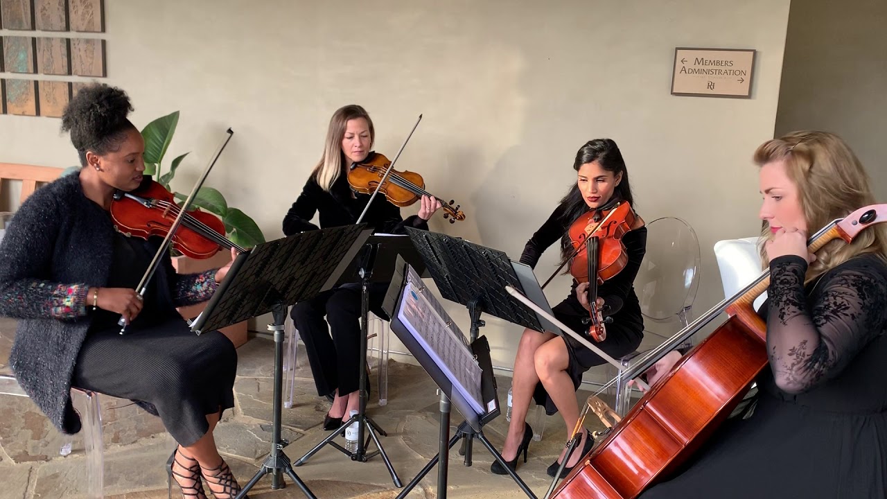 Hire Strings Attached Entertainment Violinist in Dana Point, California