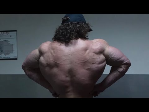 Fall Cut Day 52 - Back and Rear Delts