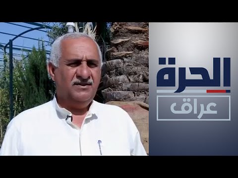 شاهد بالفيديو.. مزارع من البصرة ينجح في زراعة آلاف أشجار النخيل في مدن الشمال