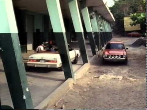 Hugo Williams : The Pan American Highway