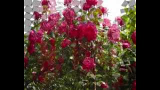 Comemoração dos mortos - Livro dos Espíritos