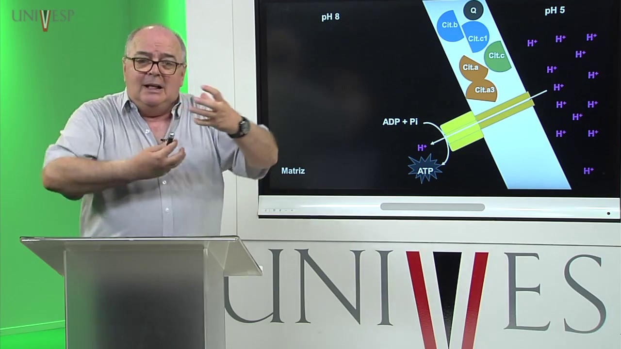 Bioquímica - Aula 14 - Fosforilação Oxidativa