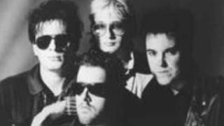 Peter and the Test Tube Babies-All About Love