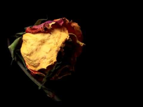 Jumprava - Ziemeļmeita (FX & live rmx)