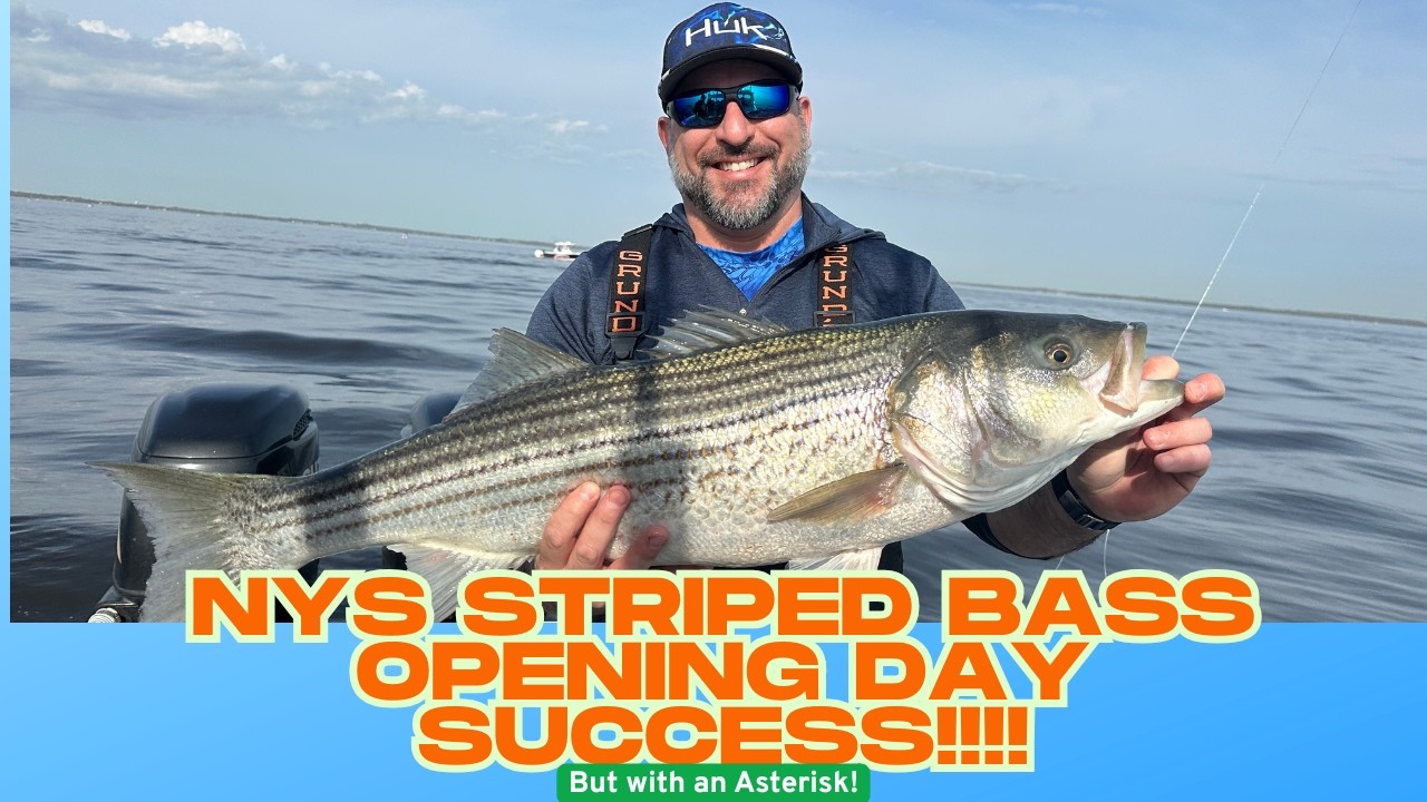 NY Opening Day Striped Bass - Epic Fishing (with a Big *)!