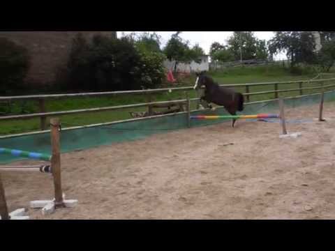 3 j  olympic fire stute