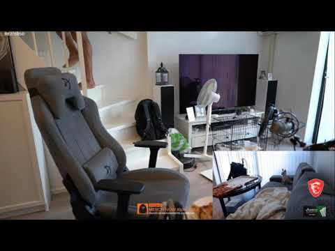 Knut's Dog Waits For Him To Leave And Then Eats His Pizza.