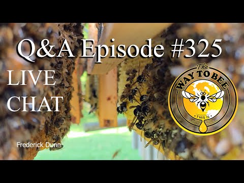 Backyard Beekeeping LIVE CHAT episode 325 The Way To Bee
