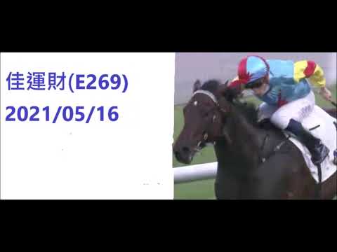 佳運財(E269) FANTASTIC TREASURE 2021/05/16 沙田草地班次紀錄時間  第二班 - 1400米 時間: 1:20.28