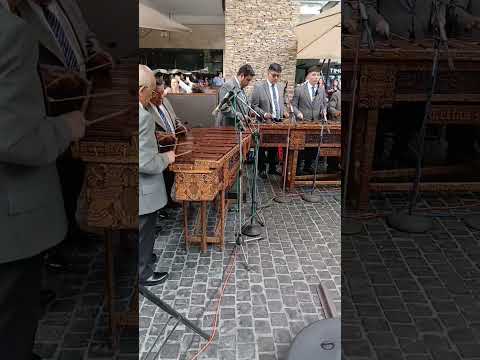 SANTA CRUZ NARANJO #marimba Teclas Morenas #Guatemala 🇬🇹 Oliverio Navarro