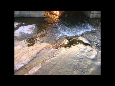 natural snaps by sujith