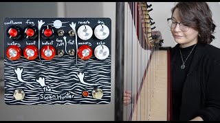 Video thumbnail for The Swan Hunter - Champion Leccy by Emily Hopkins