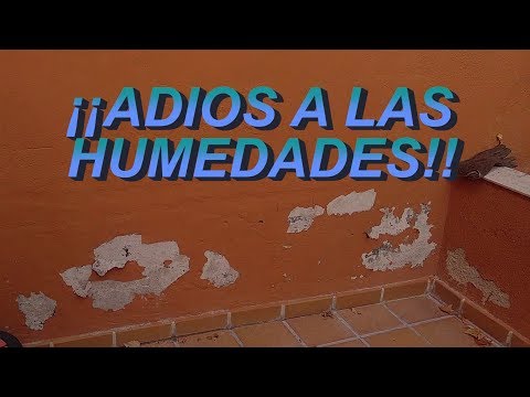 download lagu mp3 mp4 Humedades Por Capilaridad Solucion Casera, download lagu Humedades Por Capilaridad Solucion Casera gratis, unduh video klip Humedades Por Capilaridad Solucion Casera