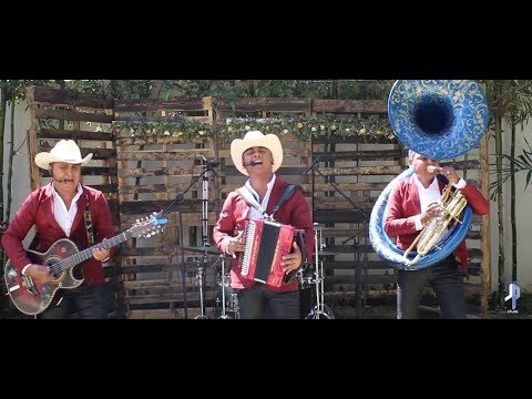 download lagu mp3 mp4 Activo Norteo, download mp3 Activo Norteo free download mp3, download mp3 Activo Norteo