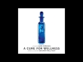Benjamin Wallfisch - "Hannah and Volmer" (A Cure For Wellness OST)