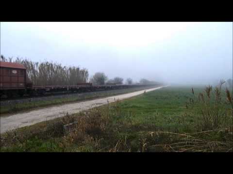 Comboio Especial n.º 95210 - Amor