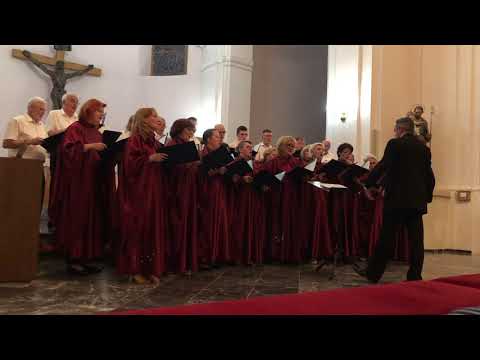 U Dom Ćemo Gospodnji - MPZ HPD "Slavulj" Petrinja (Croatia)