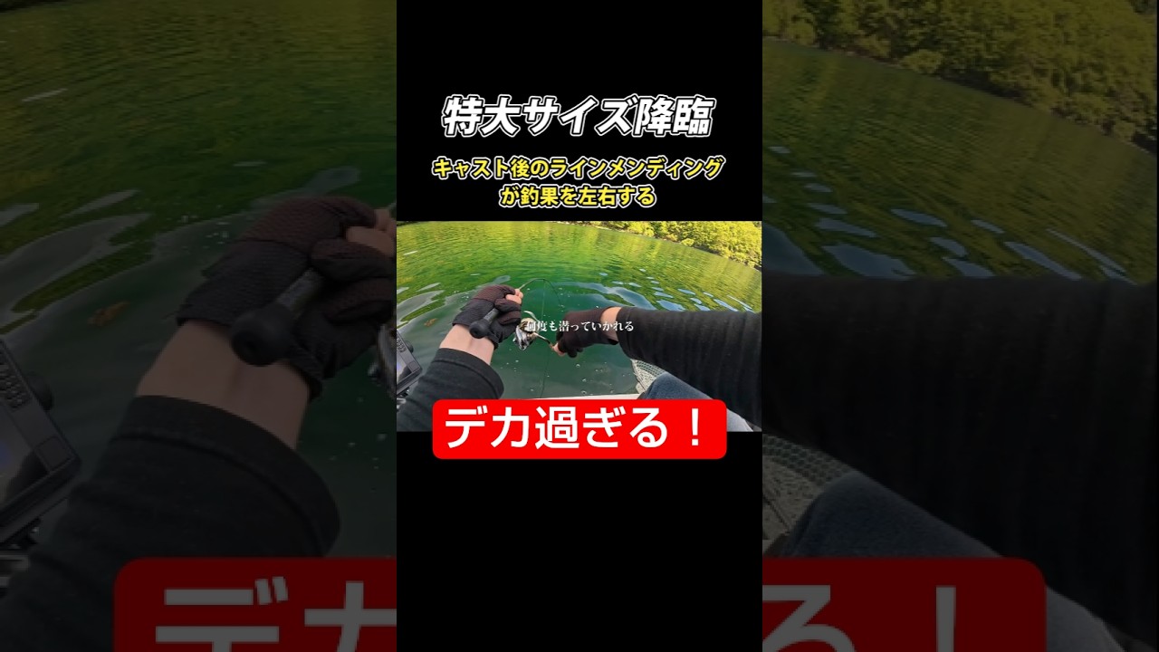 とんでもない魚が食ってきた！ #釣り #エリアトラウト #fishing #管理釣り場