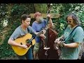 Billy Strings Don Julin Full Performance Live On KEXP Pickathon