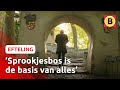 Zonder SPROOKJESBOS geen ACHTBAAN ? | Efteling: de tentoonstelling