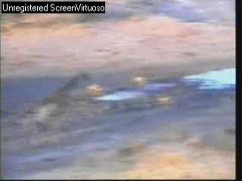 WE/Djuma Elephant and giraffe