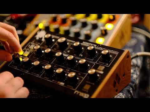 Moog Minitaur Rev2 Analog bass synthesizer Desktop with original packaging image 3