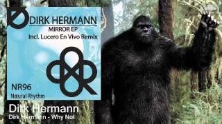 Dirk Hermann - Why Not