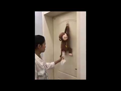 It's really Amazing  Video unbelievable video