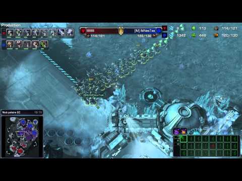 (HD838) Nestea vs Jjakji - ZvT - Heart of the Swarm [FR]