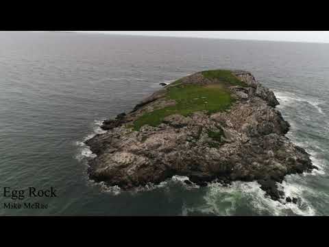 Egg Rock Phantom Pro 4 4K