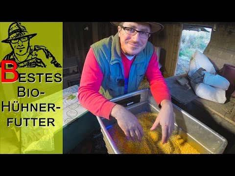 Bestes Bio-Hühnerfutter