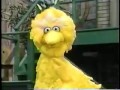 Sesame Street Dreams New HD