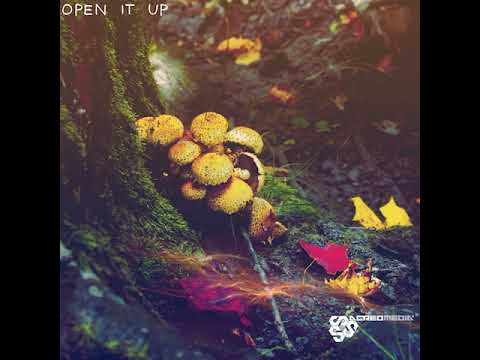 05 Skyhighatrist - Spangled Swaliens