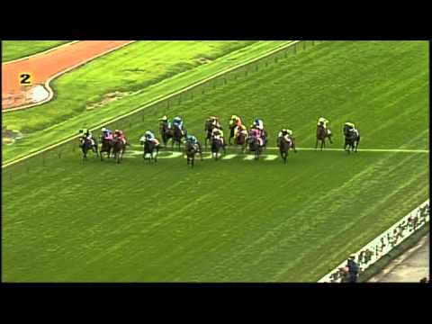 2008 AAMI Golden Slipper - Sebring