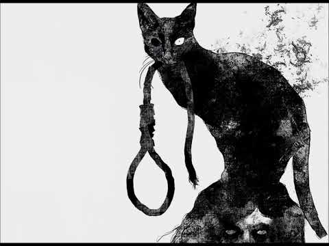 The black cat actividad: Yolima Lima