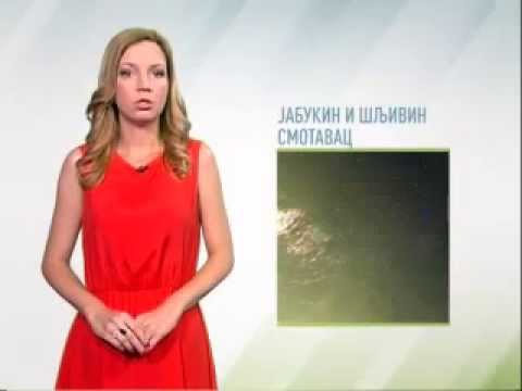 Zelena prognoza 7.7.2014. - Jabukin i šljivin smotavac