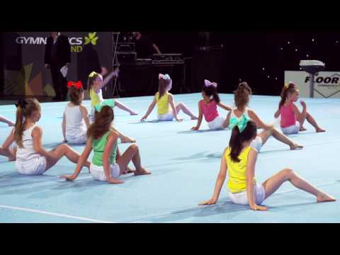 The Floor 2017 : DP Divas - DP Gymnastics