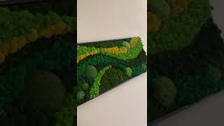 Machový obraz VESMIR