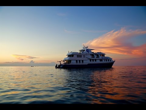 Cruise video 9