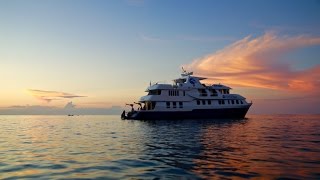 DOLPHINS JUMPED UP 20 FEET IN THE AIR! Amazing Galapagos Cruise Day 7 - YouTube
