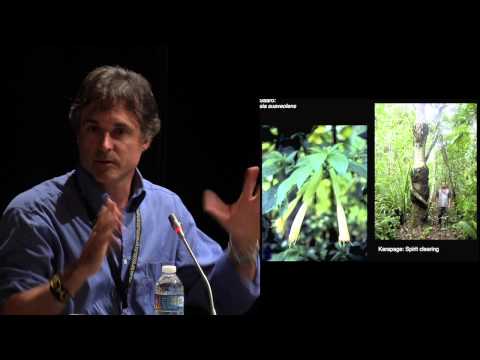 AYA2014 - Ethnobotany: Jonathan Ott, Glenn Shepard and Juan González Simonneau. Jordi Riba